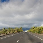 the all new road to Puerto Naos - fresh planted palms for the touritst